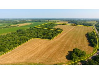 TRACT 14 - ILLINOIS LAND AUCTION - 4,810+/- ACRES OFFERED IN 85 TRACTS IN FRANKLIN, WILLIAMSON, HAMILTON & SALINE COUNTIES, ILLINOIS